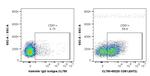 CD81 Antibody in Flow Cytometry (Flow)