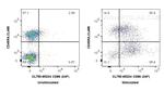 CD86 Antibody in Flow Cytometry (Flow)
