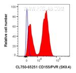 CD155/PVR Antibody in Flow Cytometry (Flow)