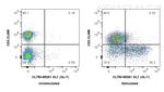 GL7 Antibody in Flow Cytometry (Flow)