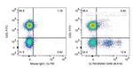CD56 Antibody in Flow Cytometry (Flow)