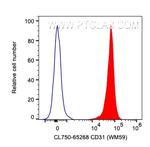 CD31 Antibody in Flow Cytometry (Flow)