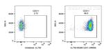 CD31 Antibody in Flow Cytometry (Flow)