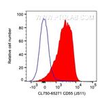 CD55 Antibody in Flow Cytometry (Flow)