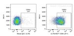 CD55 Antibody in Flow Cytometry (Flow)
