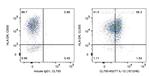 IL-12 Antibody in Flow Cytometry (Flow)