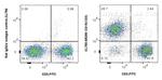 CD19 Antibody in Flow Cytometry (Flow)