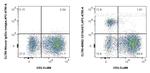 CD19 Antibody in Flow Cytometry (Flow)