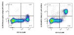 CD64 Antibody in Flow Cytometry (Flow)