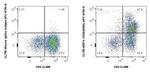 CD26 Antibody in Flow Cytometry (Flow)