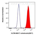 calreticulin Antibody in Flow Cytometry (Flow)