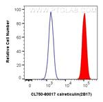 calreticulin Antibody in Flow Cytometry (Flow)