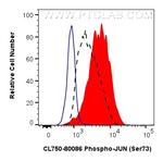 Phospho-JUN (Ser73) Antibody in Flow Cytometry (Flow)
