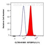 IGF2BP3 Antibody in Flow Cytometry (Flow)