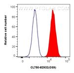 OS9 Antibody in Flow Cytometry (Flow)