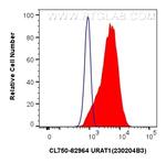 URAT1 Antibody in Flow Cytometry (Flow)