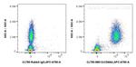 CEACAM8/CD66b Antibody in Flow Cytometry (Flow)
