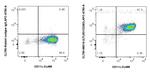 TLR3/CD283 Antibody in Flow Cytometry (Flow)