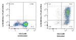 IL-17F Antibody in Flow Cytometry (Flow)