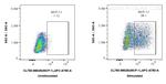MCP-1 Antibody in Flow Cytometry (Flow)