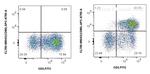 CD28 Antibody in Flow Cytometry (Flow)