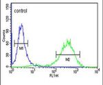 Claudin 18 Antibody in Flow Cytometry (Flow)
