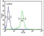 Claudin 8 Antibody in Flow Cytometry (Flow)