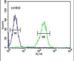 CLIC6 Antibody in Flow Cytometry (Flow)