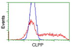 CLPP Antibody in Flow Cytometry (Flow)