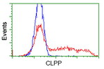 CLPP Antibody in Flow Cytometry (Flow)