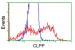 CLPP Antibody in Flow Cytometry (Flow)
