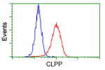 CLPP Antibody in Flow Cytometry (Flow)