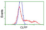 CLPP Antibody in Flow Cytometry (Flow)