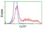 CLPP Antibody in Flow Cytometry (Flow)