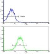 CLUAP1 Antibody in Flow Cytometry (Flow)