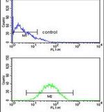 CNDP1 Antibody in Flow Cytometry (Flow)