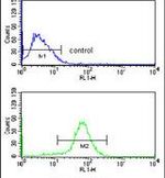 CNOT4 Antibody in Flow Cytometry (Flow)