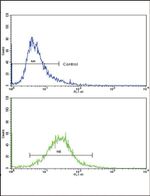 COL6A1 Antibody in Flow Cytometry (Flow)