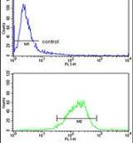 COX6A1 Antibody in Flow Cytometry (Flow)