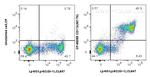CD11b Antibody in Flow Cytometry (Flow)