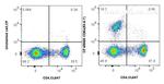 CD8a Antibody in Flow Cytometry (Flow)
