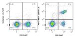CD4 Antibody in Flow Cytometry (Flow)