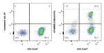 CD8 Antibody in Flow Cytometry (Flow)