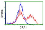 CPA1 (Carboxypeptidase A1) Antibody in Flow Cytometry (Flow)