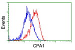 CPA1 (Carboxypeptidase A1) Antibody in Flow Cytometry (Flow)