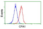 CPA1 (Carboxypeptidase A1) Antibody in Flow Cytometry (Flow)