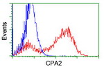 CPA2 Antibody in Flow Cytometry (Flow)