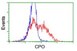 CPO Antibody in Flow Cytometry (Flow)