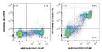 CD11b Antibody in Flow Cytometry (Flow)