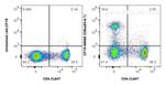 CD8a Antibody in Flow Cytometry (Flow)